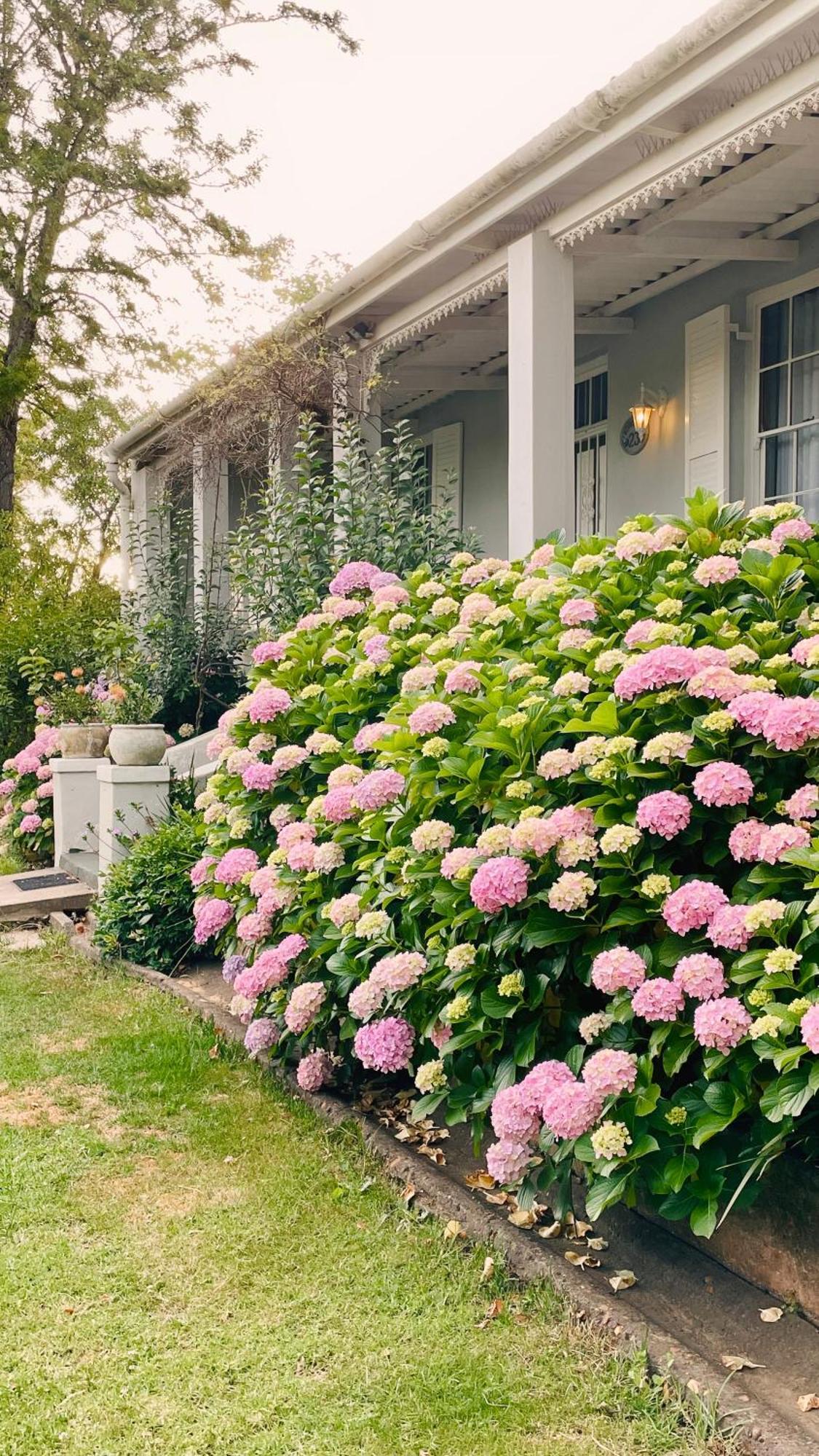 Rosehaven Cottage Swellendam Exterior photo